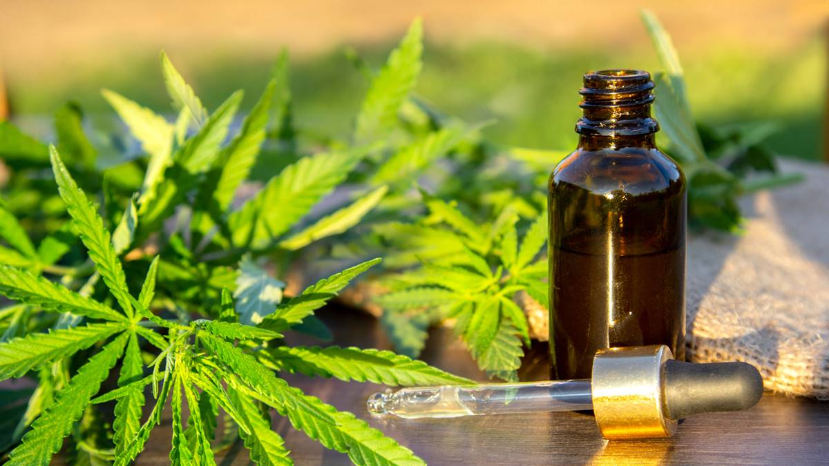 Unveiling Passion: Exploring the Potential of Hemp Oil for Libido and Arousal Enhancement in Sexual Wellness